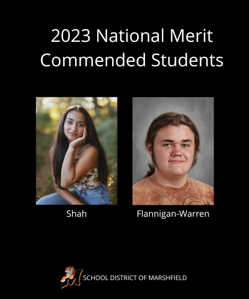  Shah and Flannigan-Warren